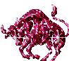 taureau
